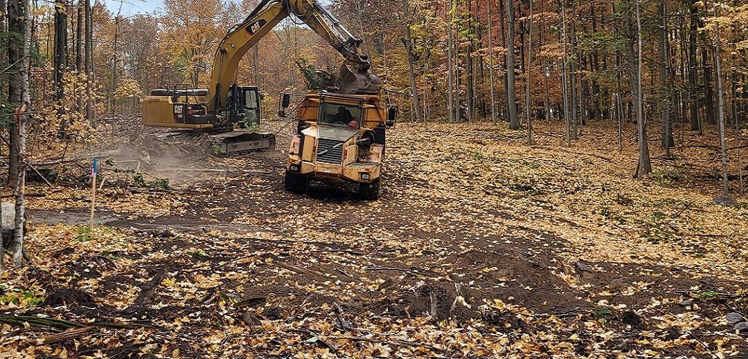 Tree Clearing & Impacted Soil Disposal